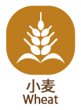 komugi