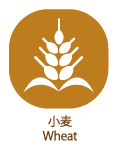 小麦