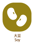 大豆